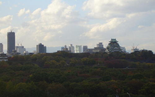 200812_28_53_e0161853_14223811.jpg