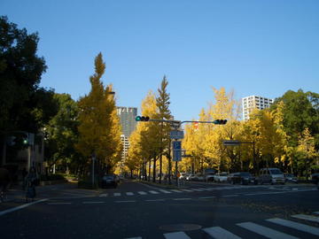 11964.jpg