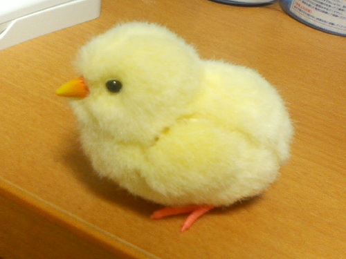 P1000109.jpg